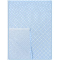 Простыня Ивановская бязь Виши вид 4 голубой