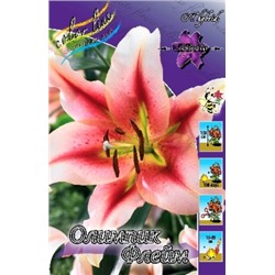 Лилии Олимпик Торч 5шт (ИС) ОТ