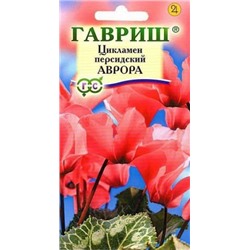Цв.Цикламен Аврора (Гавриш) 3шт комн.