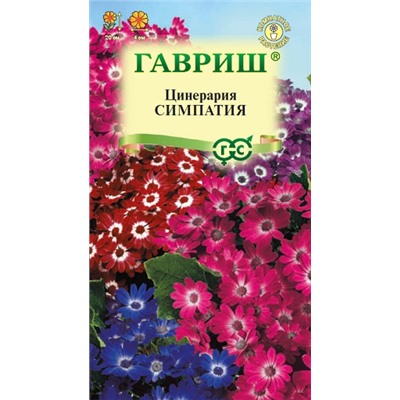 Цинерария Симпатия цветущая гибридная (Код: 11989)