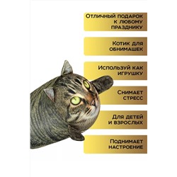 Игрушка-антистресс Кот Василий