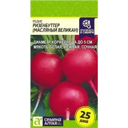 Редис Ризенбуттер (Сем.Алтая) 2г