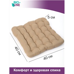 Подушка на стул Bio-Line с гречневой лузгой PSG25