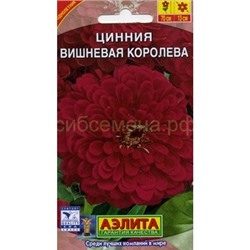 Цинния Вишневая королева (Аэлита)