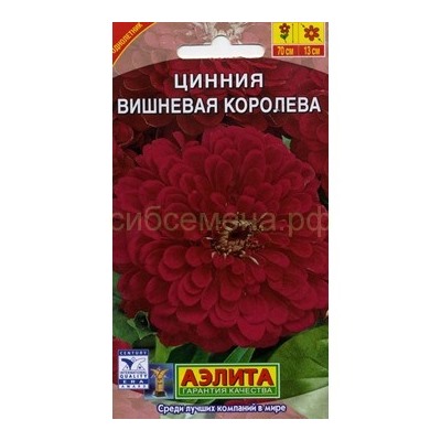 Цинния Вишневая королева (Аэлита)