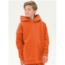 UFNK5323 (Толстовка детская, Pelican Outlet )