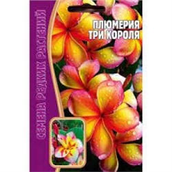 Цв.Плюмерия Три короля (Григорьев) 3шт