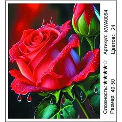 АМБП KWA0094, 40х50 см