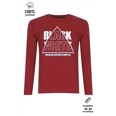 Футболка с длинным рукавом Black White ФН170-1