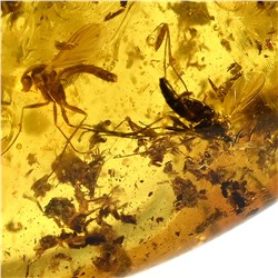 Янтарь с инклюзами 20*30мм цв.медовый, 3,06г