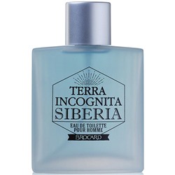 BROCARD TERRA INCOGNITA СИБИРЬ /муж M~