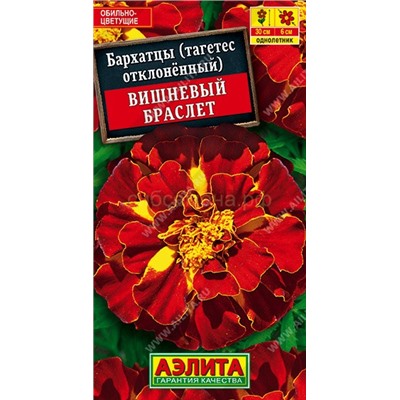Бархатцы Вишневый браслет (Аэлита)