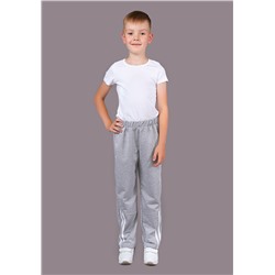 Брюки с лампасами 3 2-206