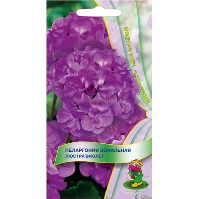 Пеларгония Люстра виолет (комн) (П)