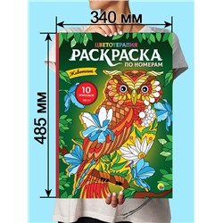 Раскраска по номерам Картины для раскрашивания  Животные (макси) 10стр. 485*340мм ПП-00167108