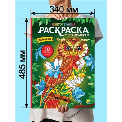 Раскраска по номерам Картины для раскрашивания  Животные (макси) 10стр. 485*340мм ПП-00167108