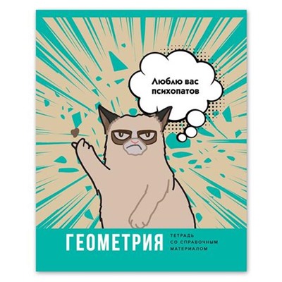Тетрадь Предмет клетка  ГЕОМЕТРИЯ 40 л /ВЕСЕЛЬЕ НАЧИНАЕТСЯ ТП5СК40 9174