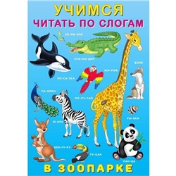 Учимся читать по слогам. В зоопарке 16 цветн.стр. 23,5*16см 29012