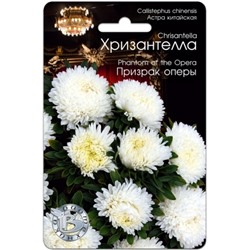 Цв.Астра Хризантелла Призрак оперы (Био) 30шт.