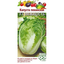 Капуста пекинская Нежность F1 (Код: 93382)