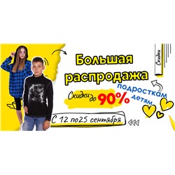 СП Ладошки
