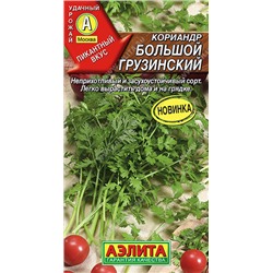 Кориандр БОльшой Грузинский Аэлита