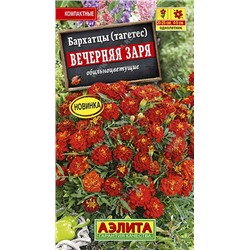 Бархатцы Вечерняя заря отклон. (Аэлита)