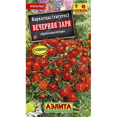 Бархатцы Вечерняя заря отклон. (Аэлита)
