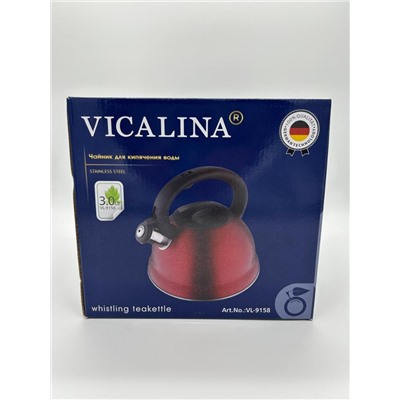 Чайник  3 л VICALINA