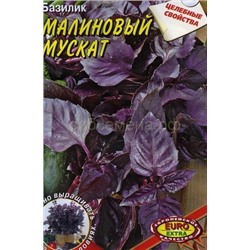 Базилик Малиновый мускат горшечный (Аэлита)