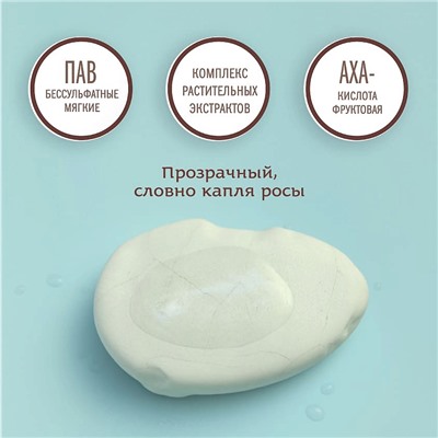 Ayurvedic Shampoo ALOE VERA & MORINGA, Indibird (Аюрведический шампунь АЛОЭ (алое) ВЕРА И МОРИНГА С ПРОТЕИНАМИ ШЕЛКА И КЕРАТИНА, для окрашенных волос, Индибёрд), 250 мл.