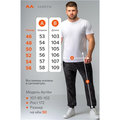 Мужские брюки из футера двухнитки Happyfox