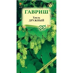 Хмель обыкновенный Дружный (Гавр)