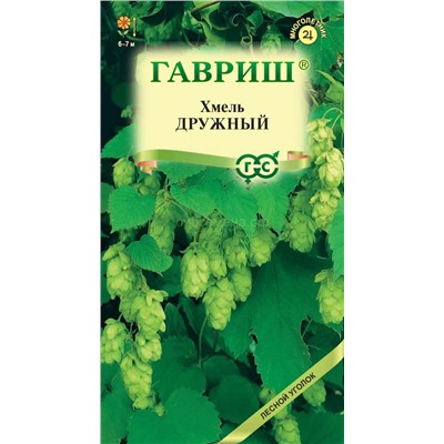 Хмель обыкновенный Дружный (Гавр)