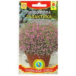 Гипсофила Галактика  (Код: 75191)