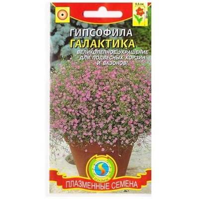 Гипсофила Галактика  (Код: 75191)