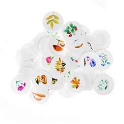 Лото с пластиковыми фишками «Родная природа»