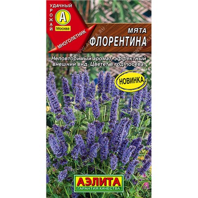 Мята Флорентина Аэлита