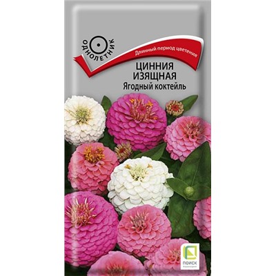 Цинния Ягодный Коктейль (Код: 68240)