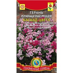 Цв.Герань Каскад цвета плющелистная (Плазма) 3шт