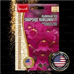 Львиный зев Снэпшот Бургунди - Snapshot Burgundy (Редкие)
