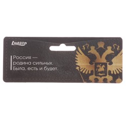 Вымпел в авто «ВМФ»