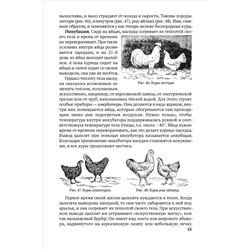 Естествознание. Учебник для 4 класса начальной школы. Тетюрев В.А. 1945