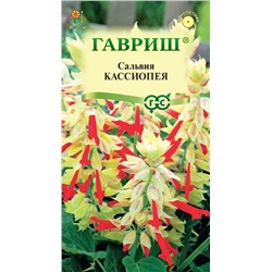 Сальвия Кассиопея карликовая бел-красн (Гавр)