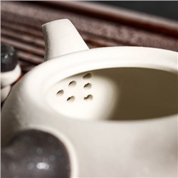 Набор для чайной церемонии керамический «Нежный цветок», 7 предметов: чайник 180 мл, 6 чашек 70 мл, цвет белый