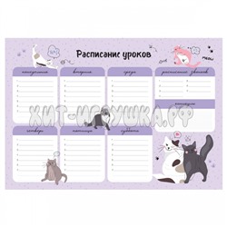Расписание уроков с расписанием звонков А3 "Пиши-стирай. Милый кот"  в ассортименте ArtSpace 350140, 350140