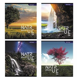 Тетрадь 36 л клетка  Alingar  NATURE POWER 4 дизайна AL10821 (выпис.по 2шт.)