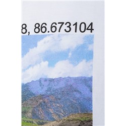 Футболка VILATTE #990003