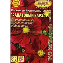 Космея Гранатовый бархат дваждыперистая (Аэлита)