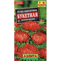 Астра Букетная Лососево-Красная